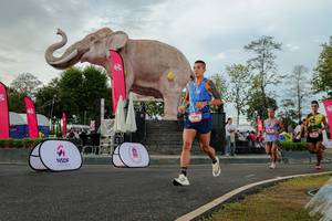 BIB: 
                            <button type="button" onclick="openModal(26528475)" class="btn btn-primary btn-sm float-right btn-popup" data-toggle="modal" data-target=".modal-high-quality">
                        <i class="fas fa-shopping-cart"></i> Add to Cart
                    </button>
                                            <button type="button" onclick="isThisMe(26528475, true)" class="btn btn-success btn-sm float-right btn-popup btn-isme hidden" data-toggle="tooltip" data-placement="bottom" title="นี่คือรูปของคุณใช่ไหม คลิกที่นี่เพื่อเอาเข้าอัลบั้ม">
                        <i class="fas fa-plus"></i> Add to album
                    </button>
                    <button type="button" onclick="isThisMe(26528475, false)" class="btn btn-warning btn-sm float-right btn-popup btn-isnotme hidden">
                        <i class="fas fa-ban"></i> Remove from album
                    </button>